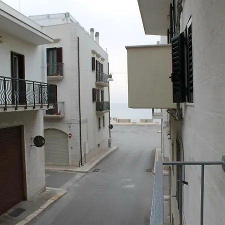 Casa Miro